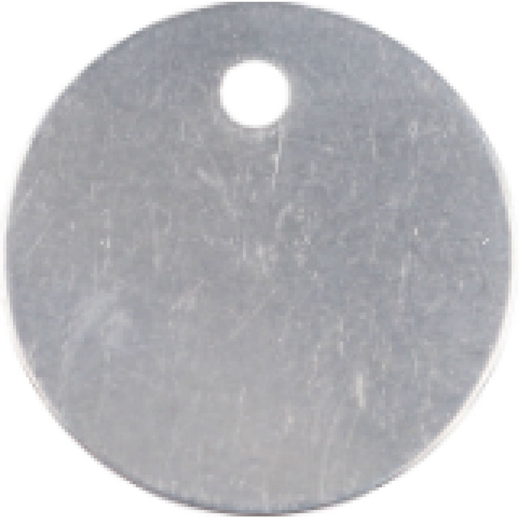Charm or Pet Tag - 1 Circle / Silver - Bags & Apparel