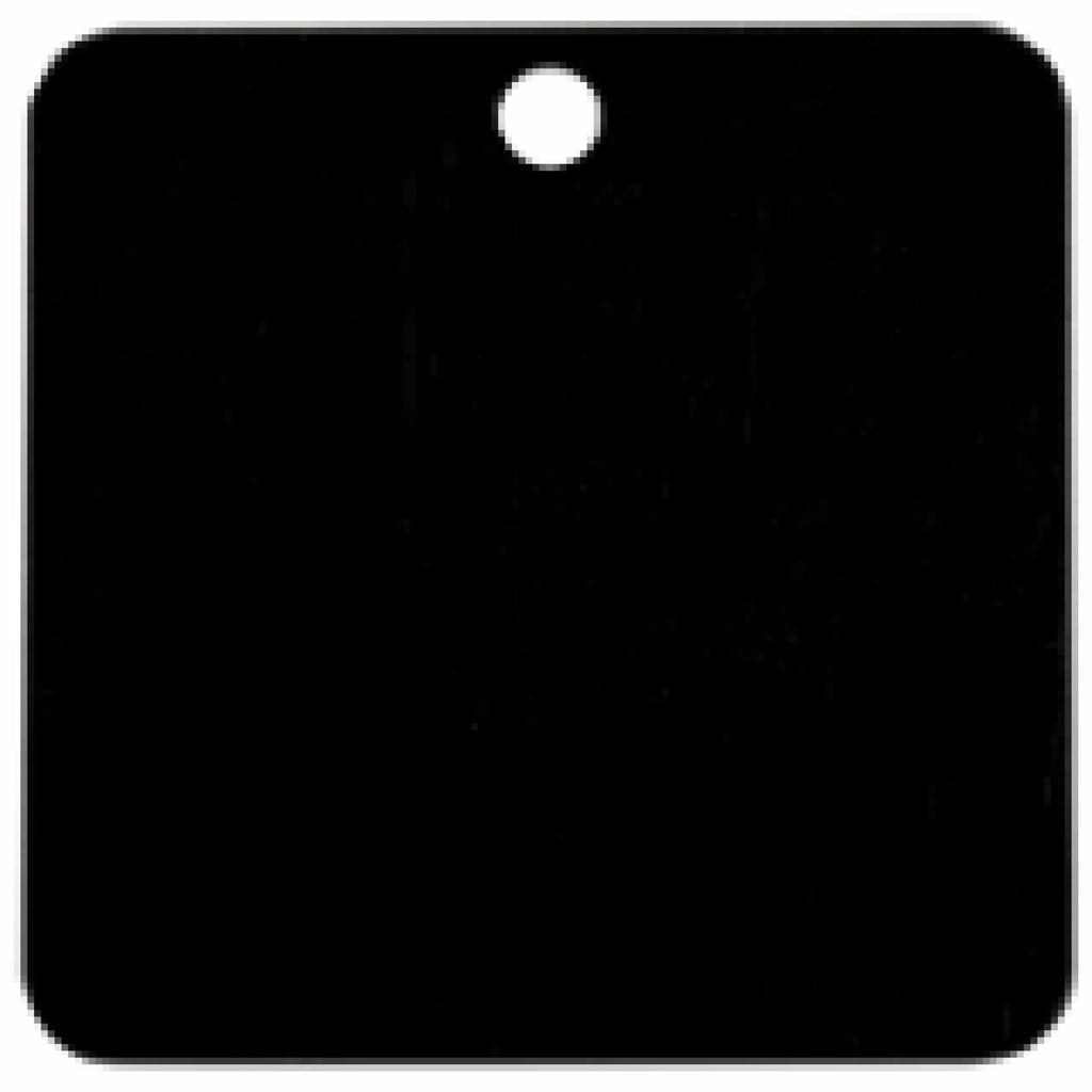 Charm or Pet Tag - 1.5 Square / Black - Bags & Apparel