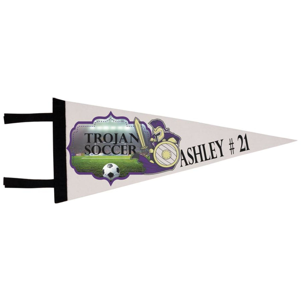 Color Pennant - 8 x 18 - Signage